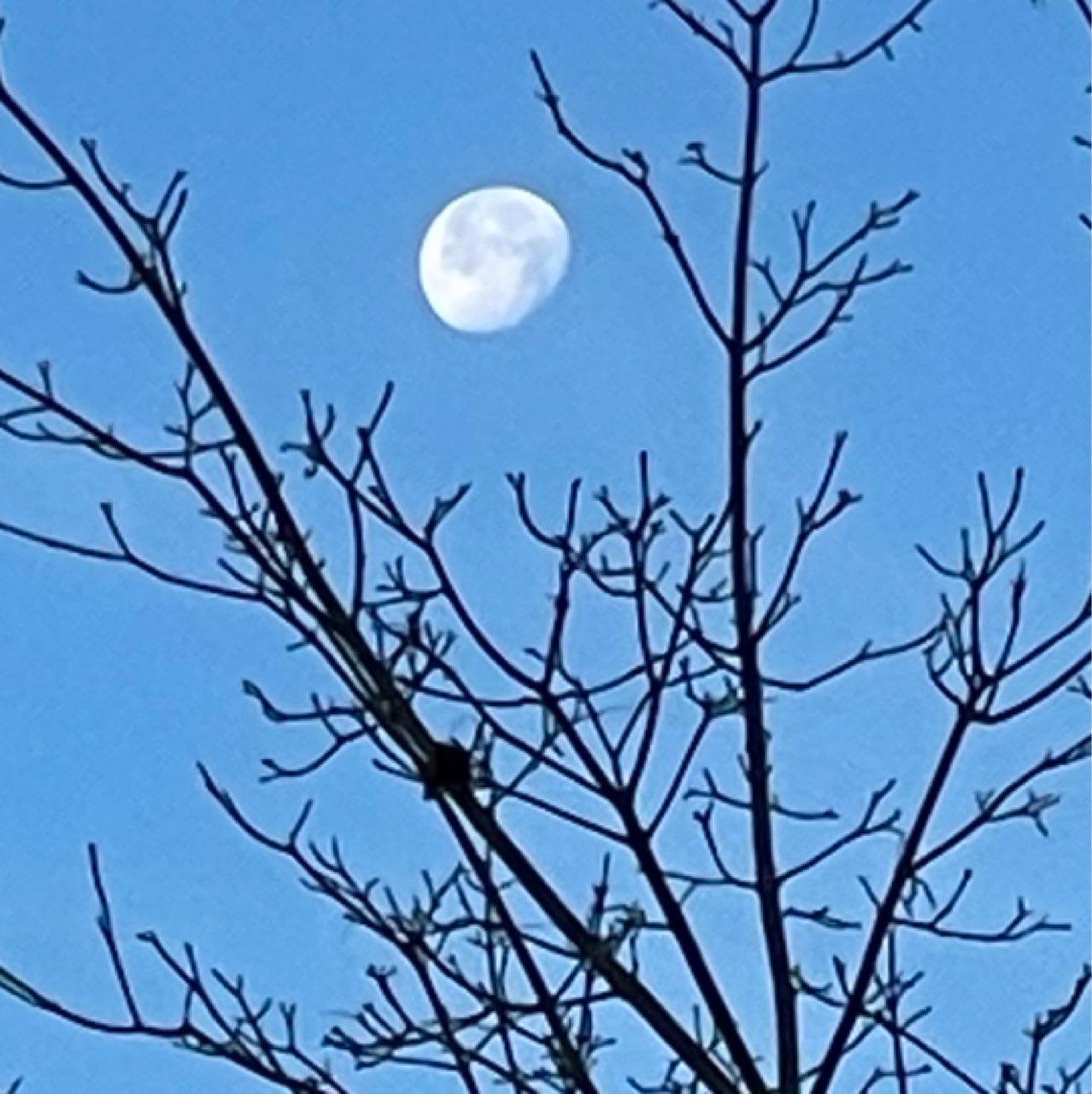 The Moon over Wasaga Beach, Canada — waning gibbous, Lunar Day 19