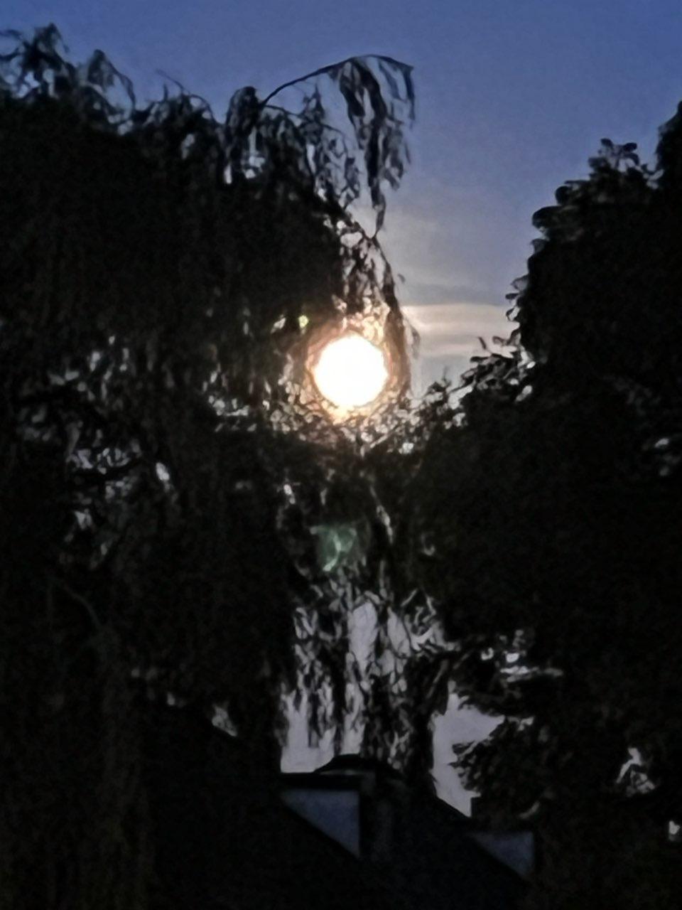 The Moon over Montfoort, Nederland — full moon, Lunar Day 16