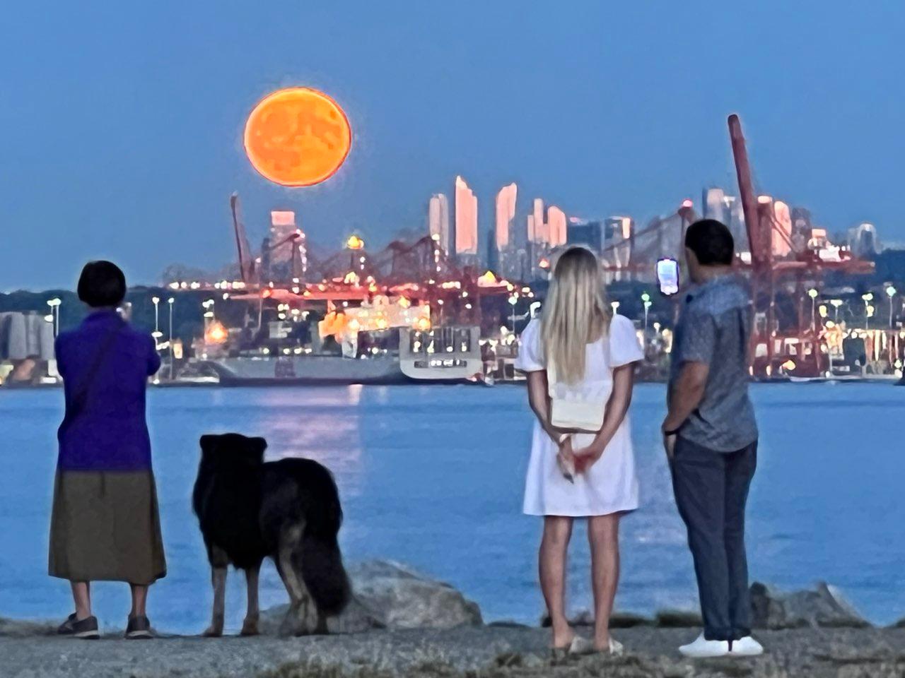 The Moon over Vancouver, Canada — full moon, Lunar Day 14