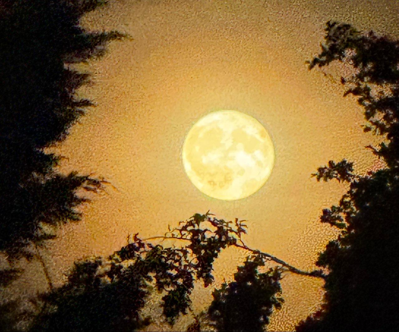 The Moon over St Albans, United Kingdom — full moon, Lunar Day 17