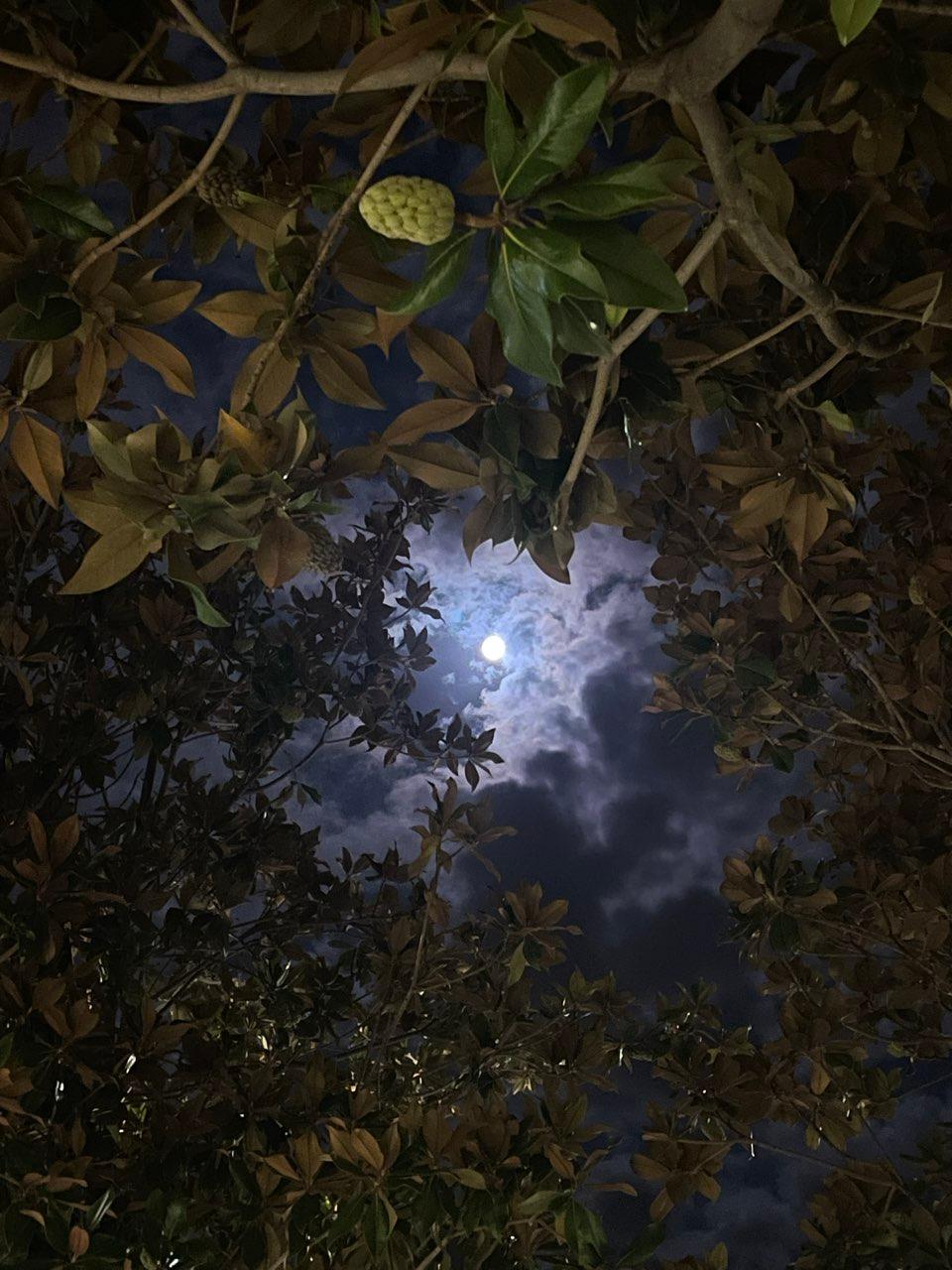 The Moon over Bari, Italy — full moon, Lunar Day 16