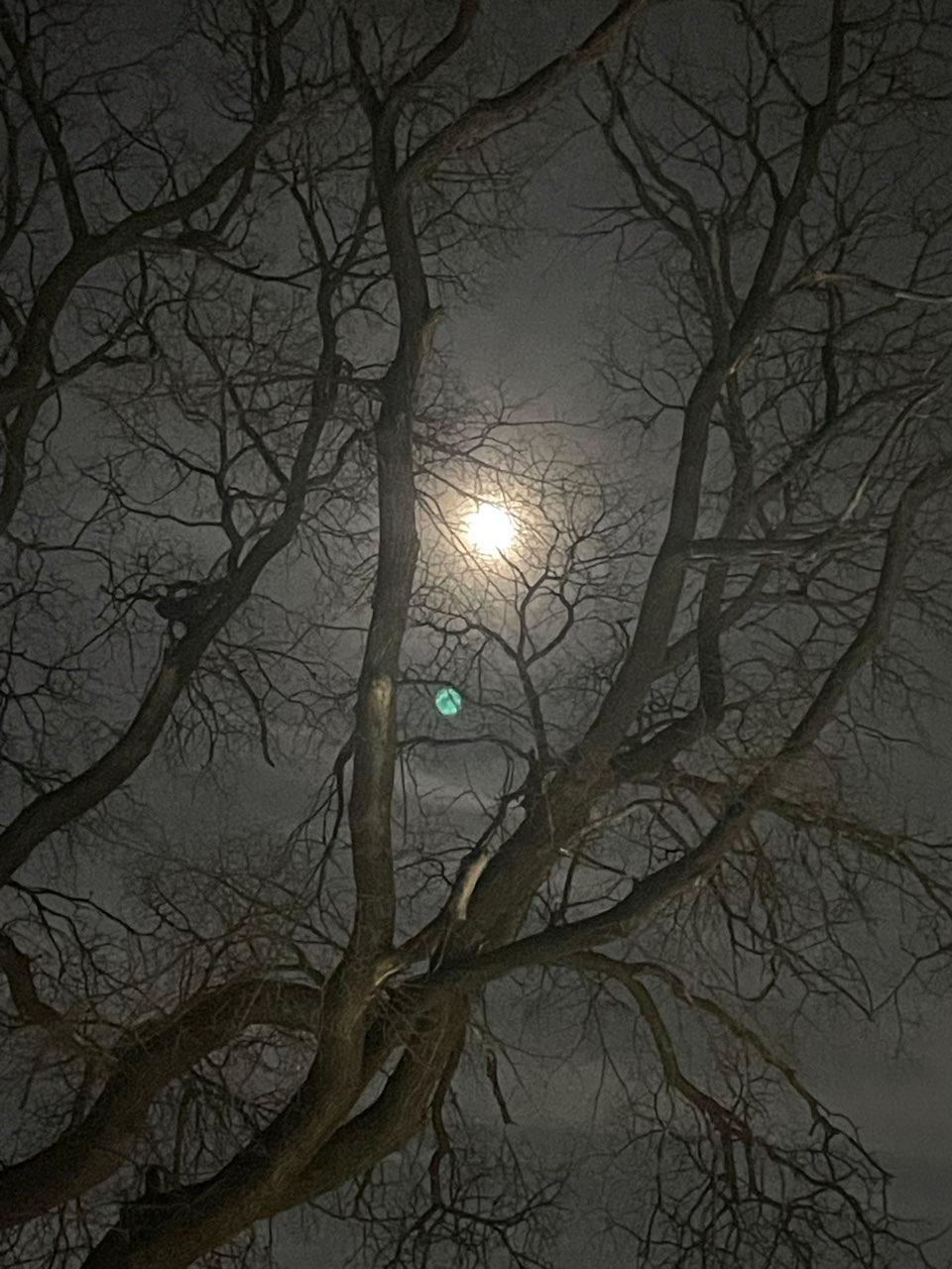 The Moon over Winnipeg, Canada — full moon, Lunar Day 15
