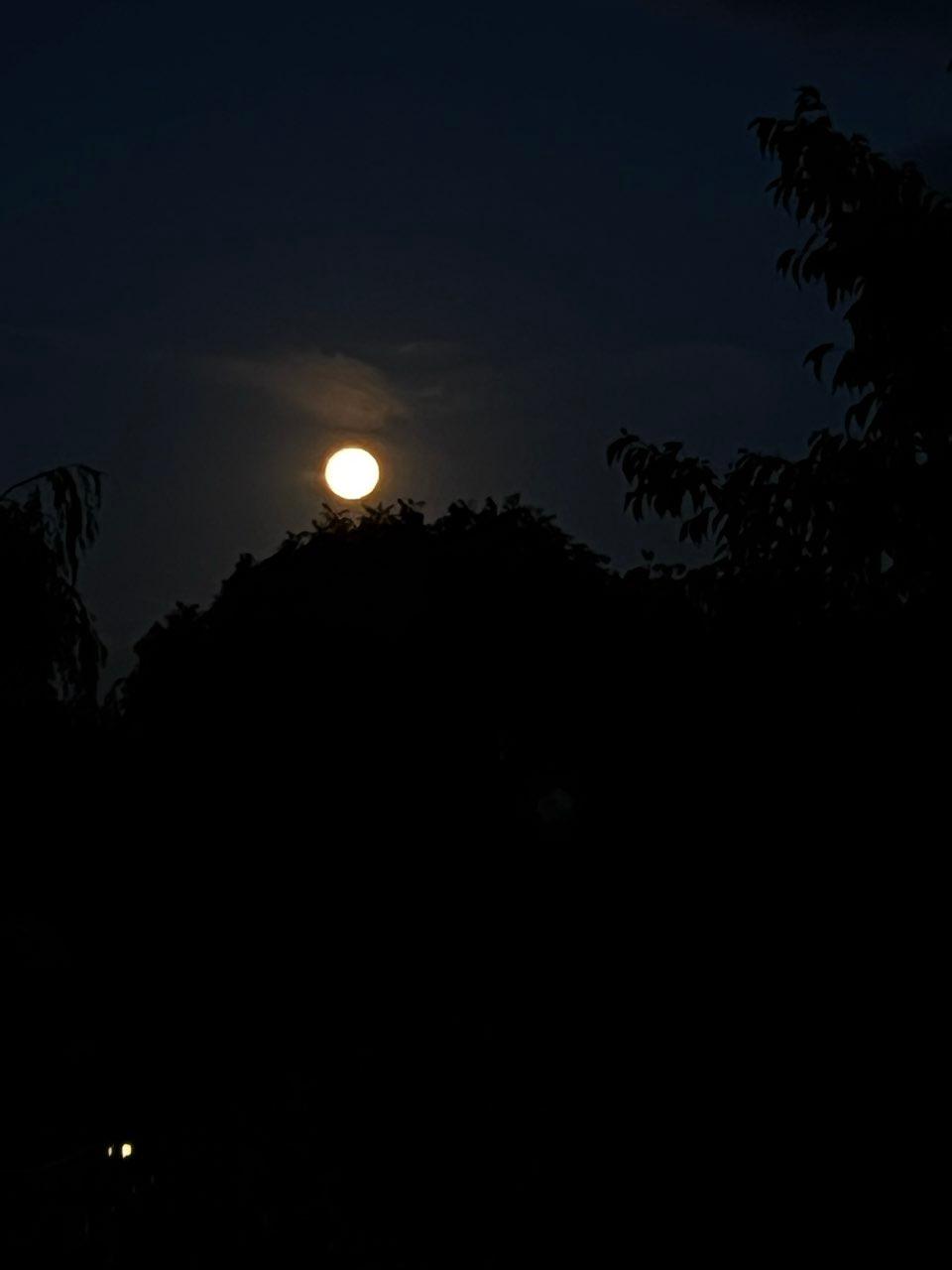 The Moon over Montfoort, Nederland — full moon, Lunar Day 15