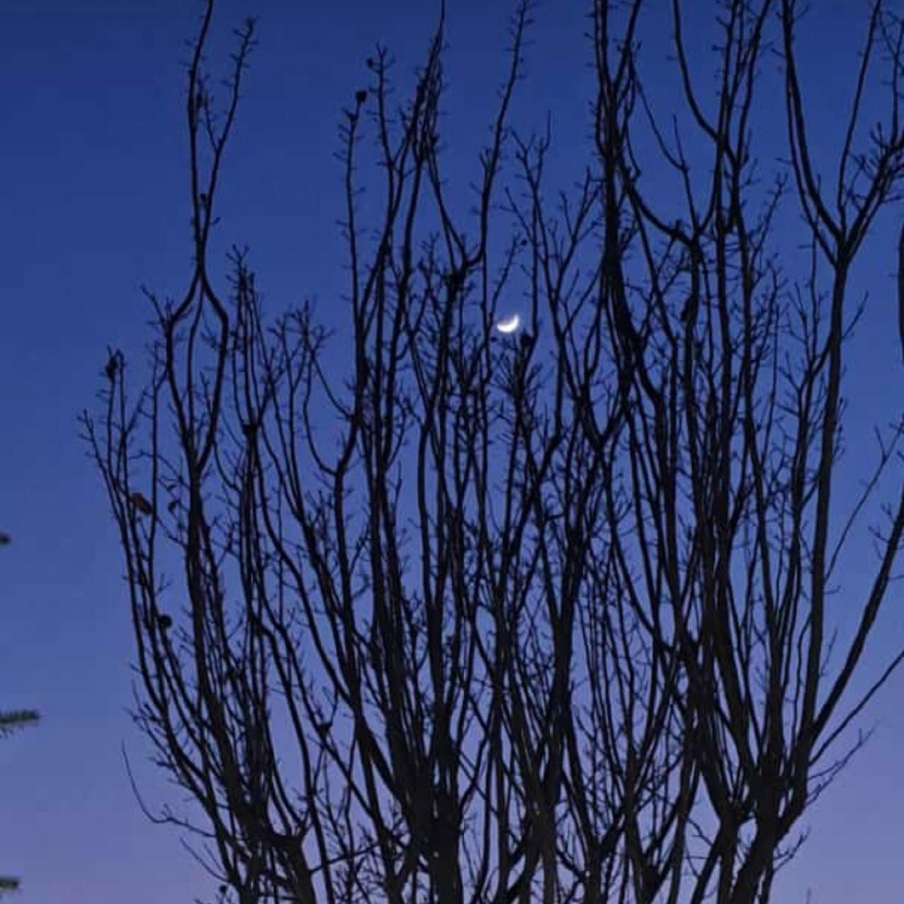 The Moon over Köln, Deutschland — waxing crescent, Lunar Day 4