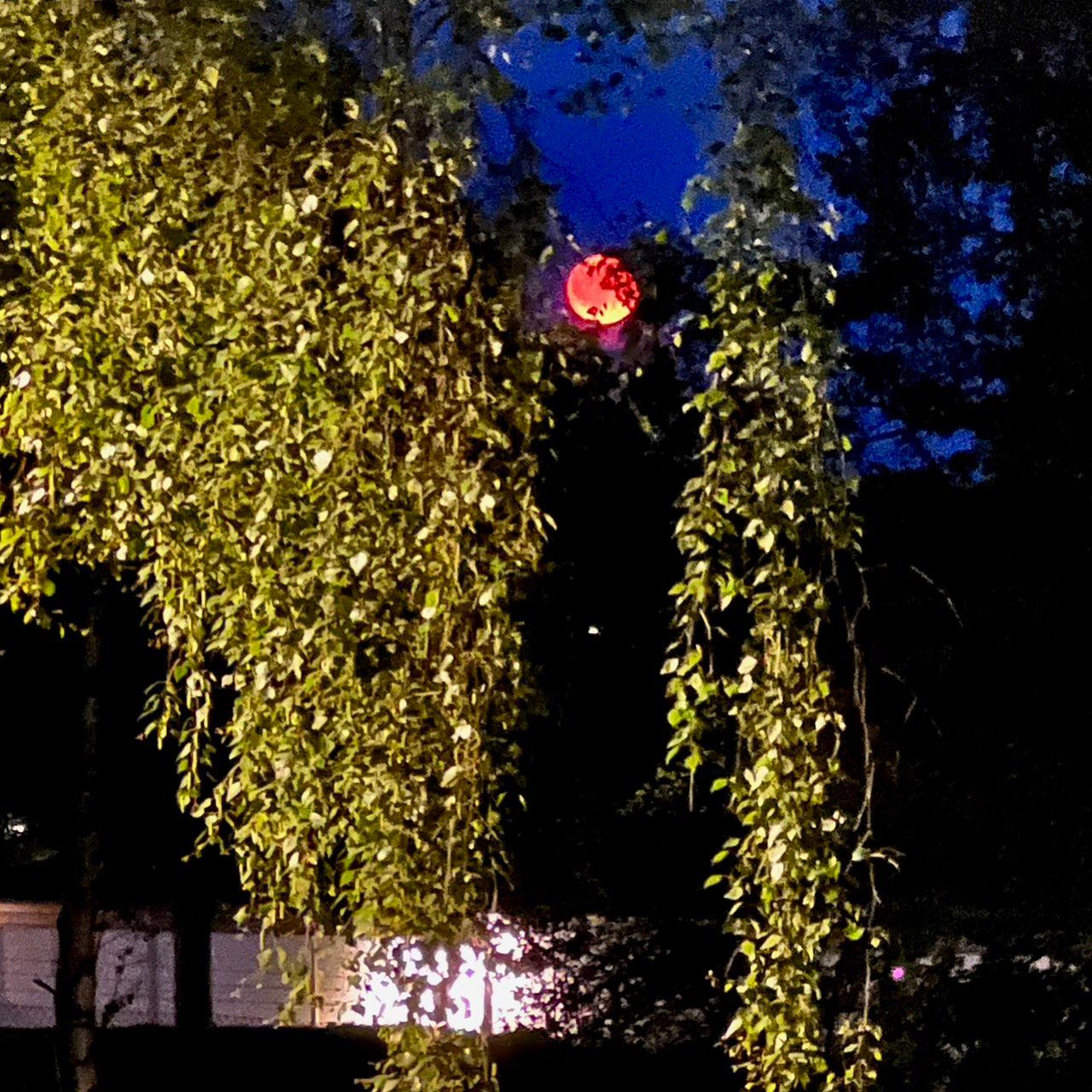 The Moon over Borås, Sverige — full moon, Lunar Day 16