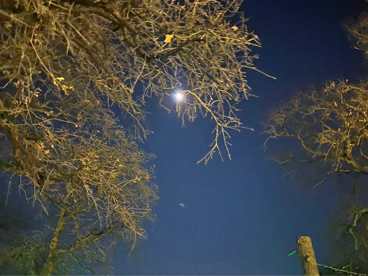 The Moon over Farmers Branch, Estados Unidos — full moon, Lunar Day 16