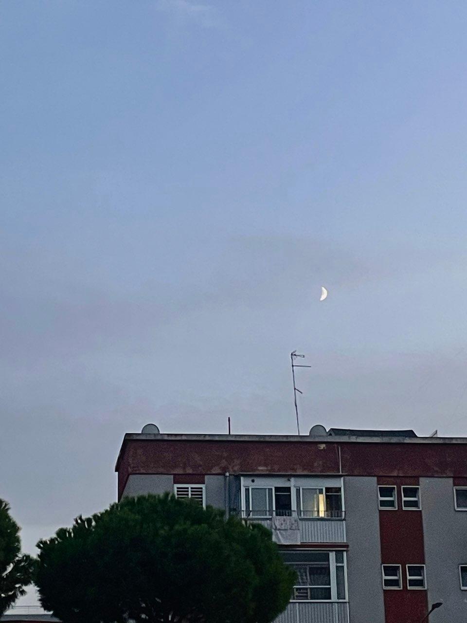 The Moon over Bari, Italy — first quarter, Lunar Day 8