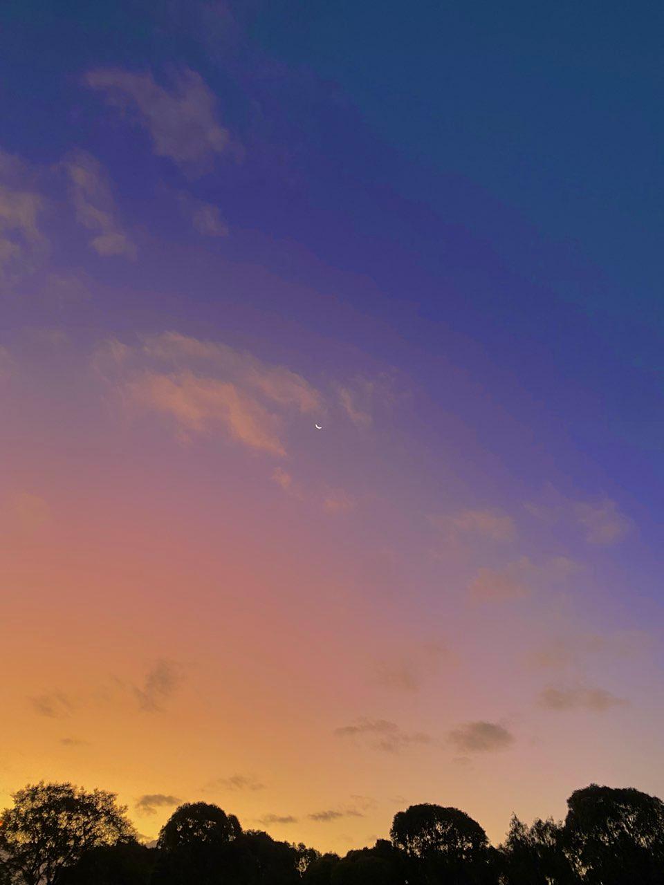 The Moon over Salisbury Heights, Australia — waxing crescent, Lunar Day 4