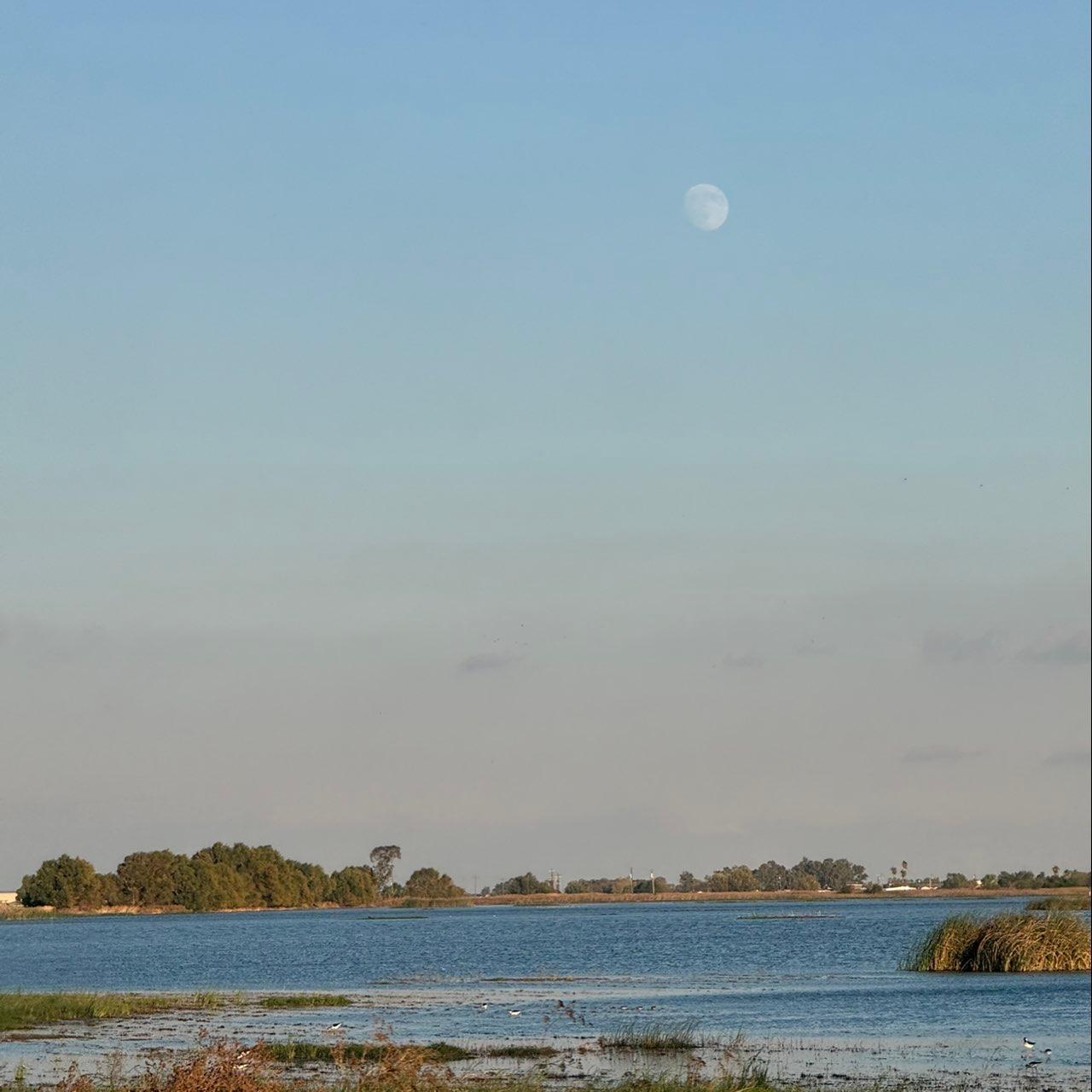 The Moon over Los Banos, United States — waxing gibbous, Lunar Day 14