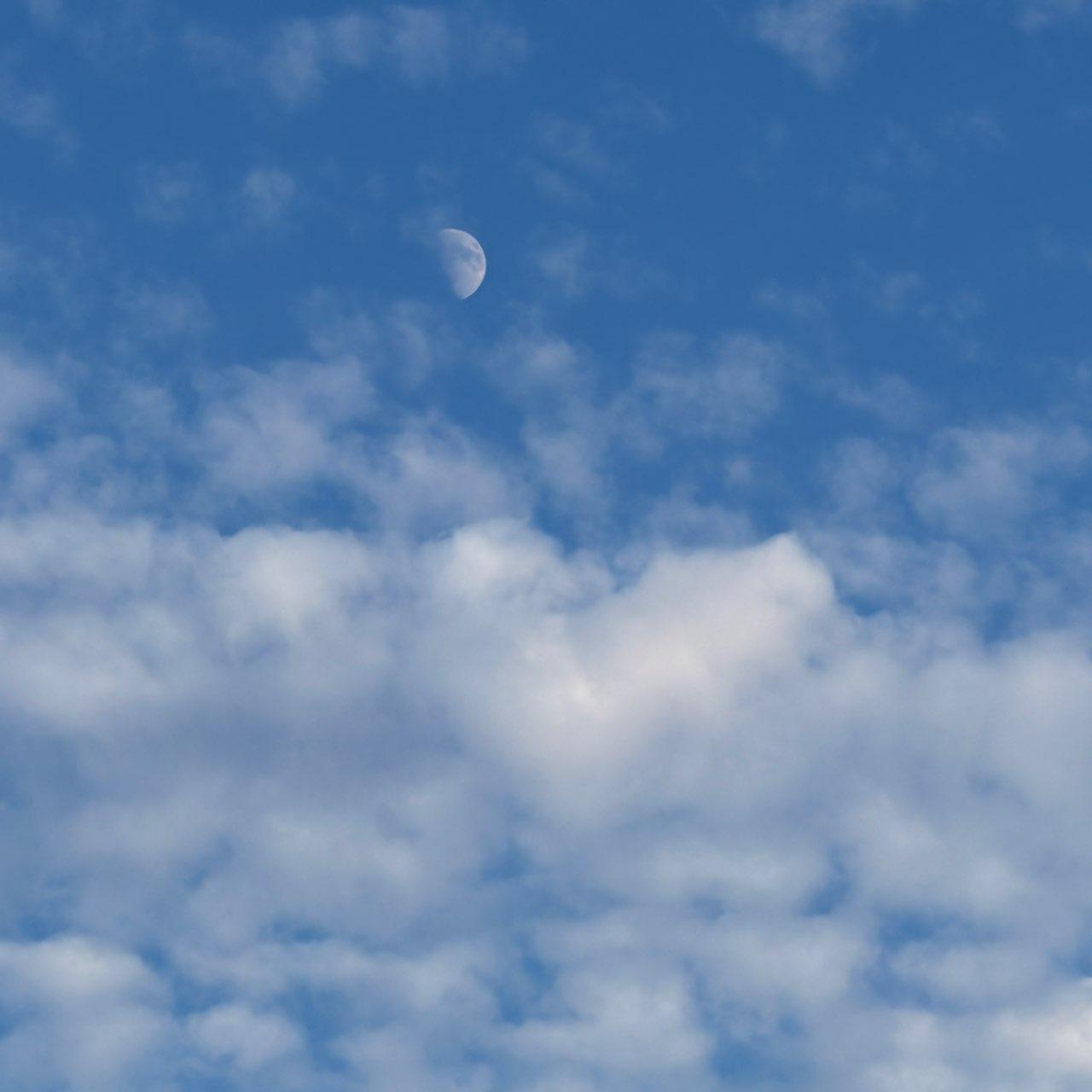 The Moon over Lodi, United States — first quarter, Lunar Day 10