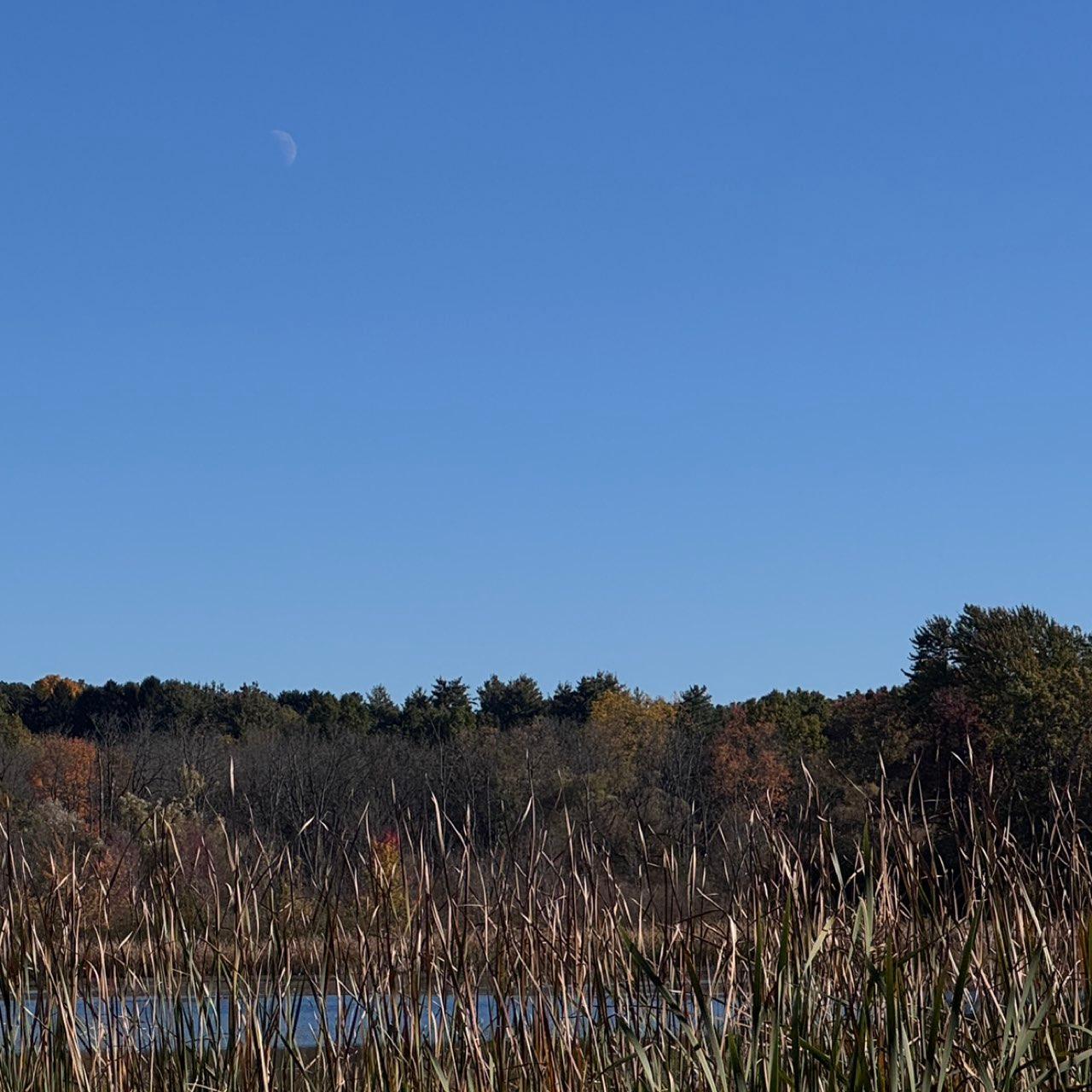 The Moon over Henrietta, United States — first quarter, Lunar Day 8