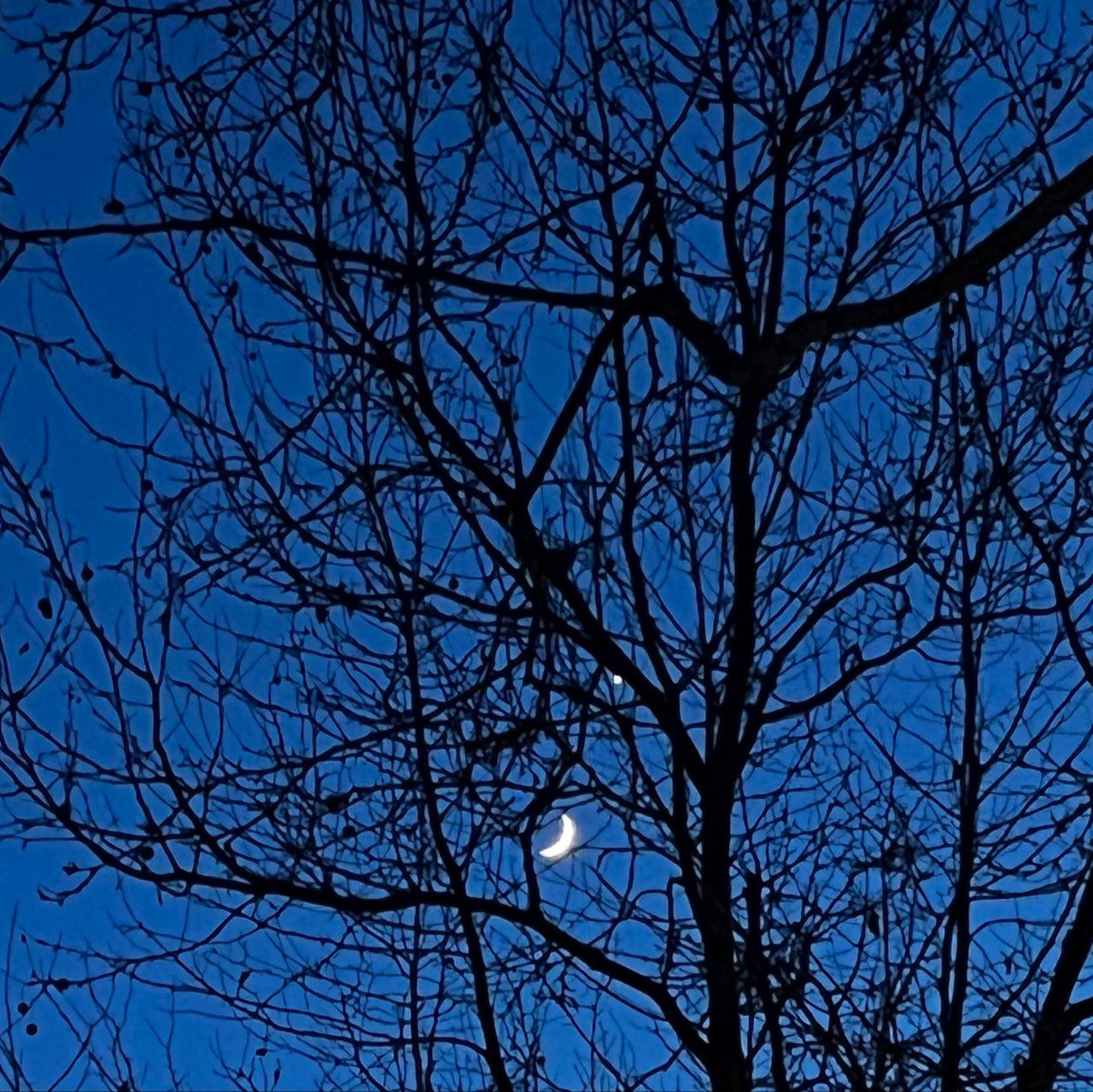 The Moon over Paris, France — waxing crescent, Lunar Day 5
