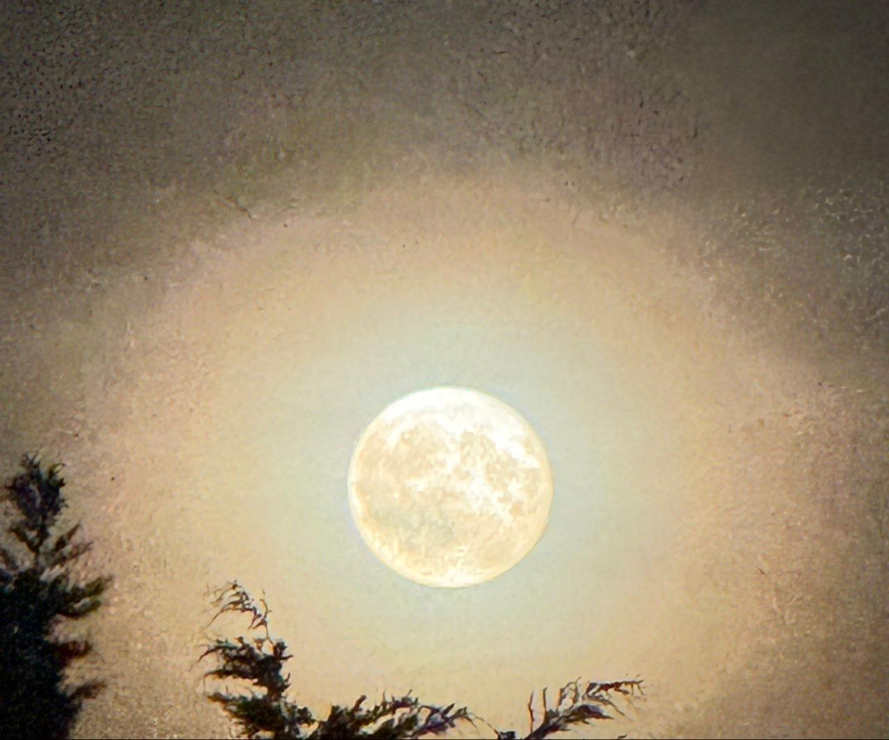 The Moon over St Albans, United Kingdom — full moon, Lunar Day 17