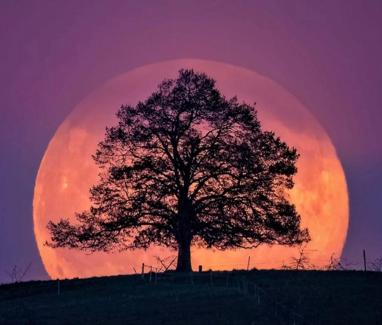 The Moon over Ennetbürgen, Schweiz — full moon, Lunar Day 16