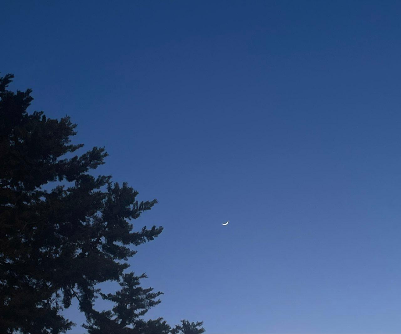 The Moon over Bari, Italia — waxing crescent, Lunar Day 4