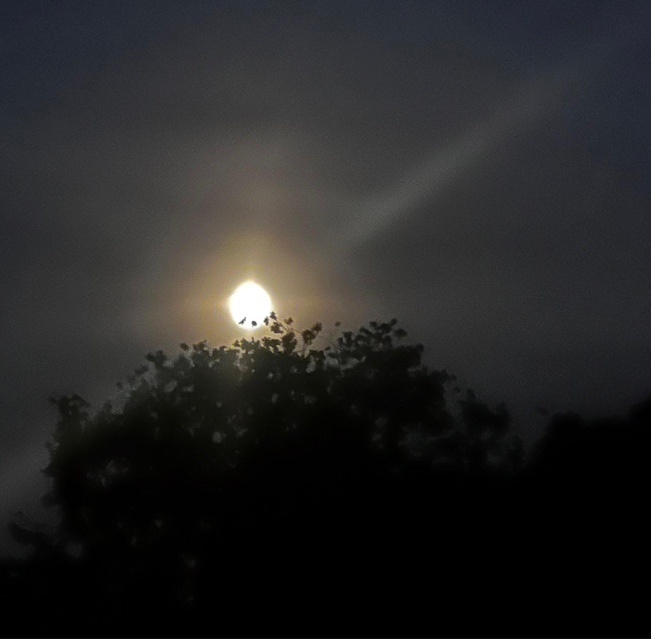 The Moon over Kortrijk, Belgium — waxing gibbous, Lunar Day 13