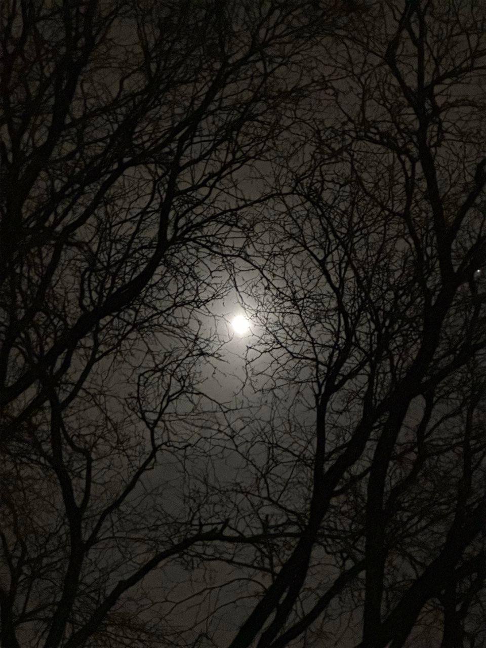 The Moon over Vaughan, Canada — full moon, Lunar Day 15