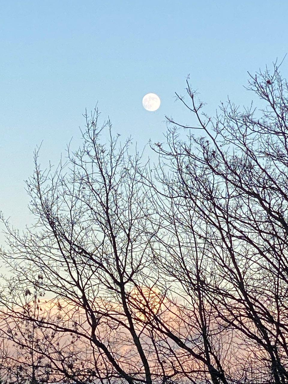 The Moon over Löbau, Germany — full moon, Lunar Day 16