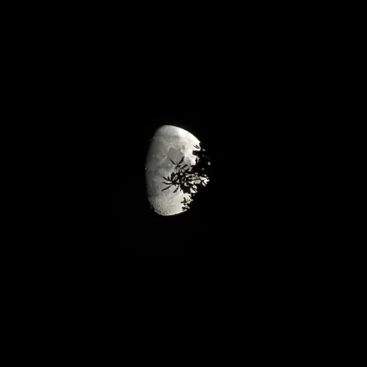 The Moon over Pelt, België — waxing gibbous, Lunar Day 10