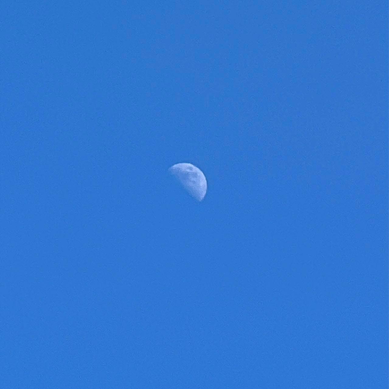 The Moon over Hamburg, Germany — first quarter, Lunar Day 8