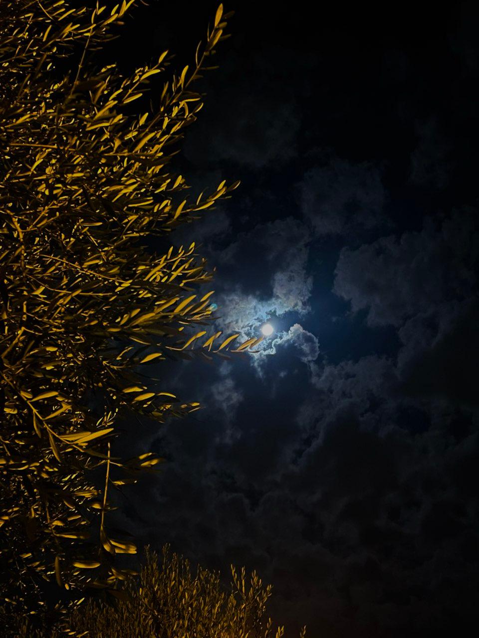 The Moon over Bari, Italy — full moon, Lunar Day 15