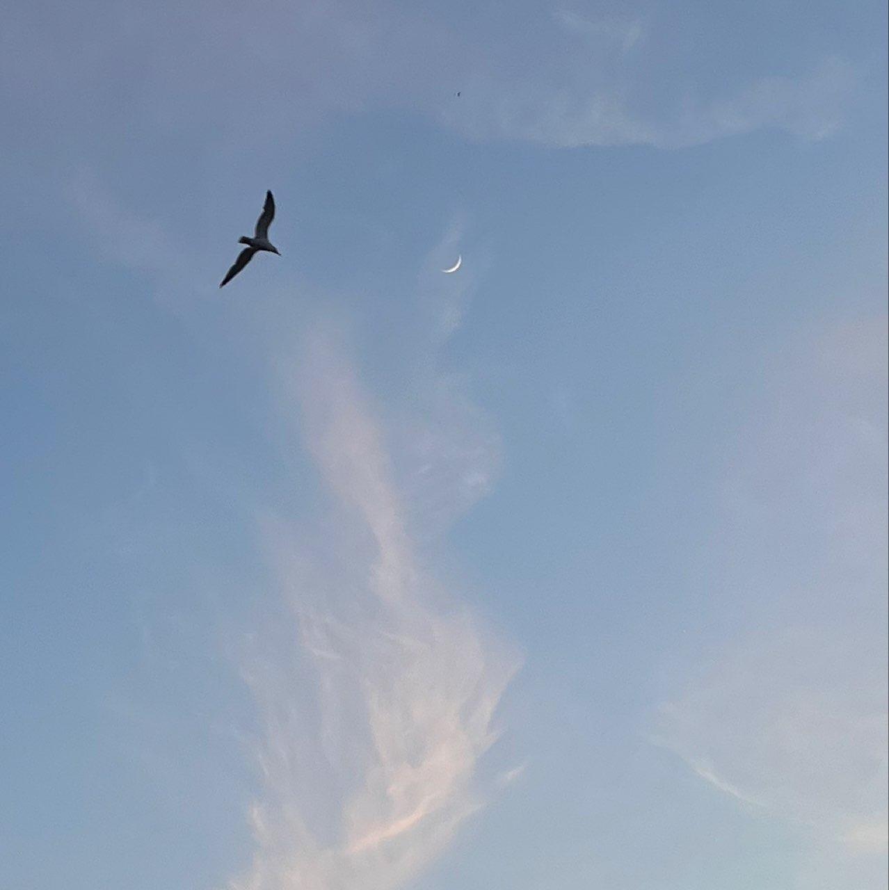 The Moon over Barcelona, España — waxing crescent, Lunar Day 5