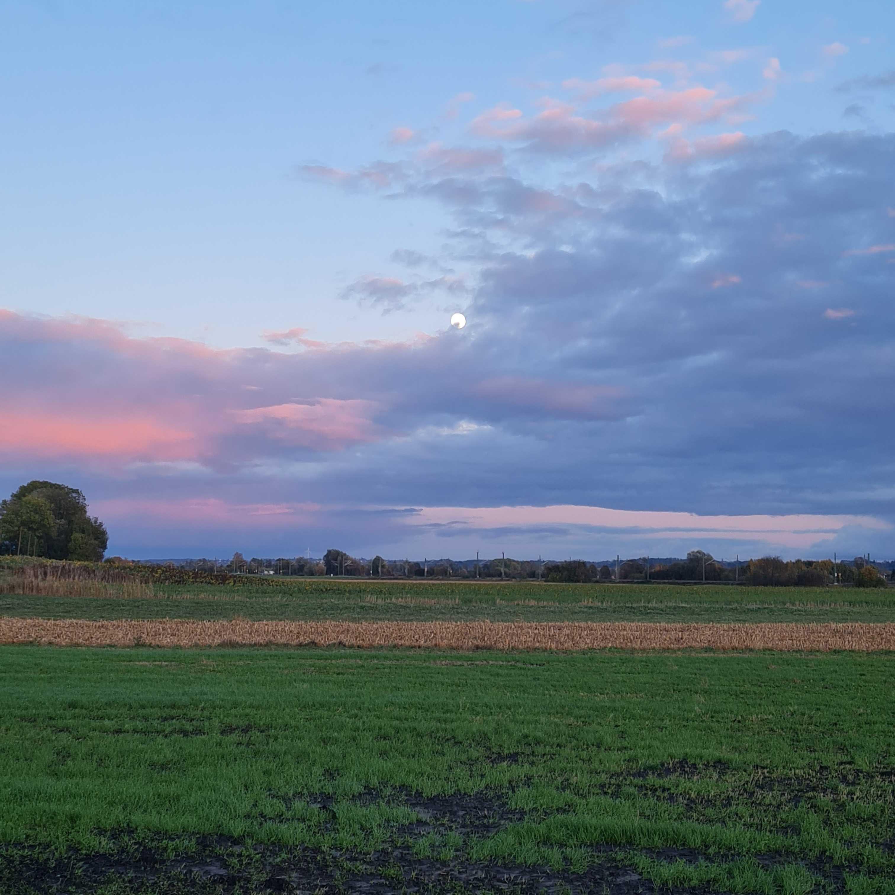 The Moon over Ergolding, Deutschland — full moon, Lunar Day 15