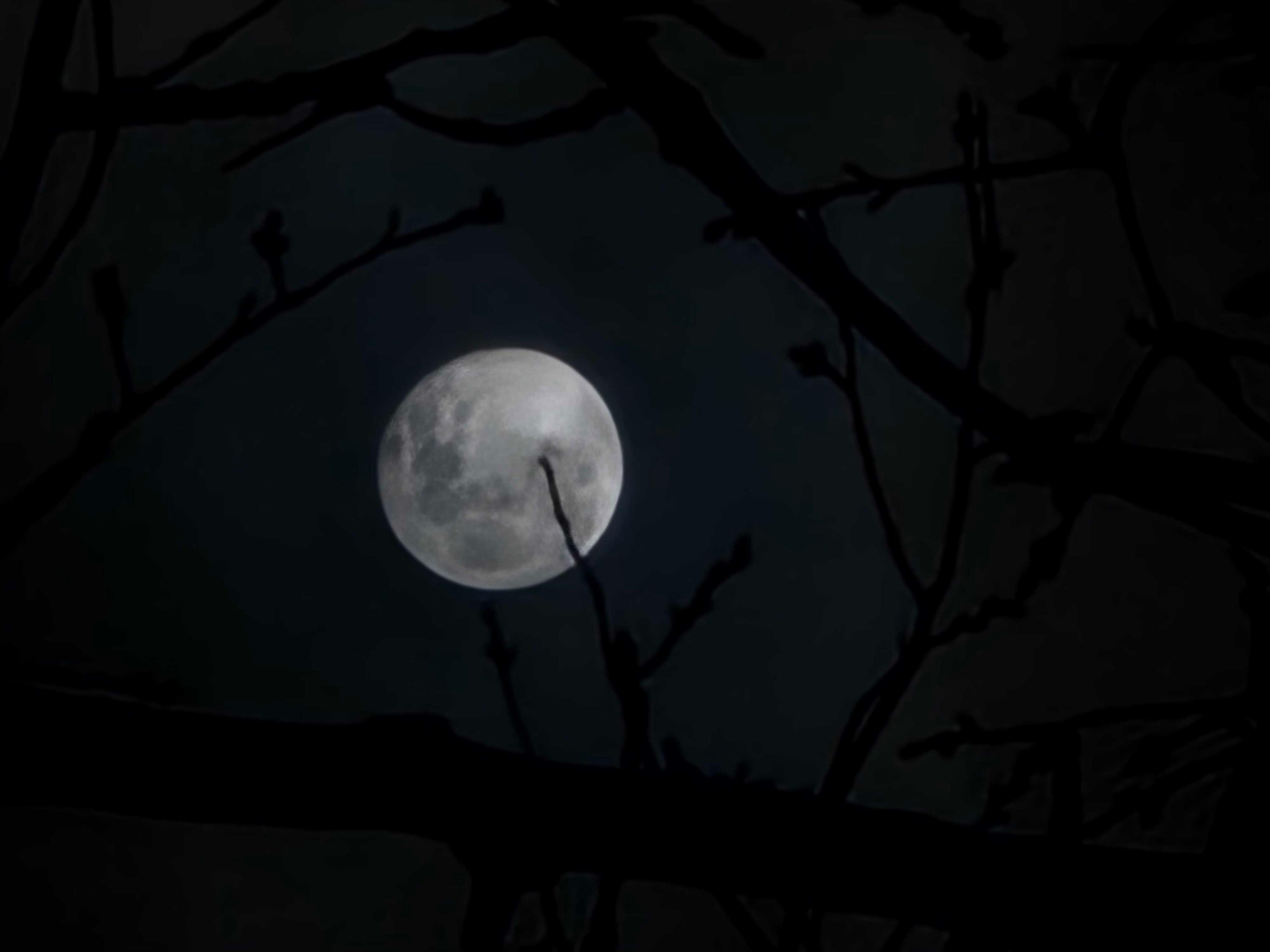 The Moon over Cap-Pelé, Canada — full moon, Lunar Day 17