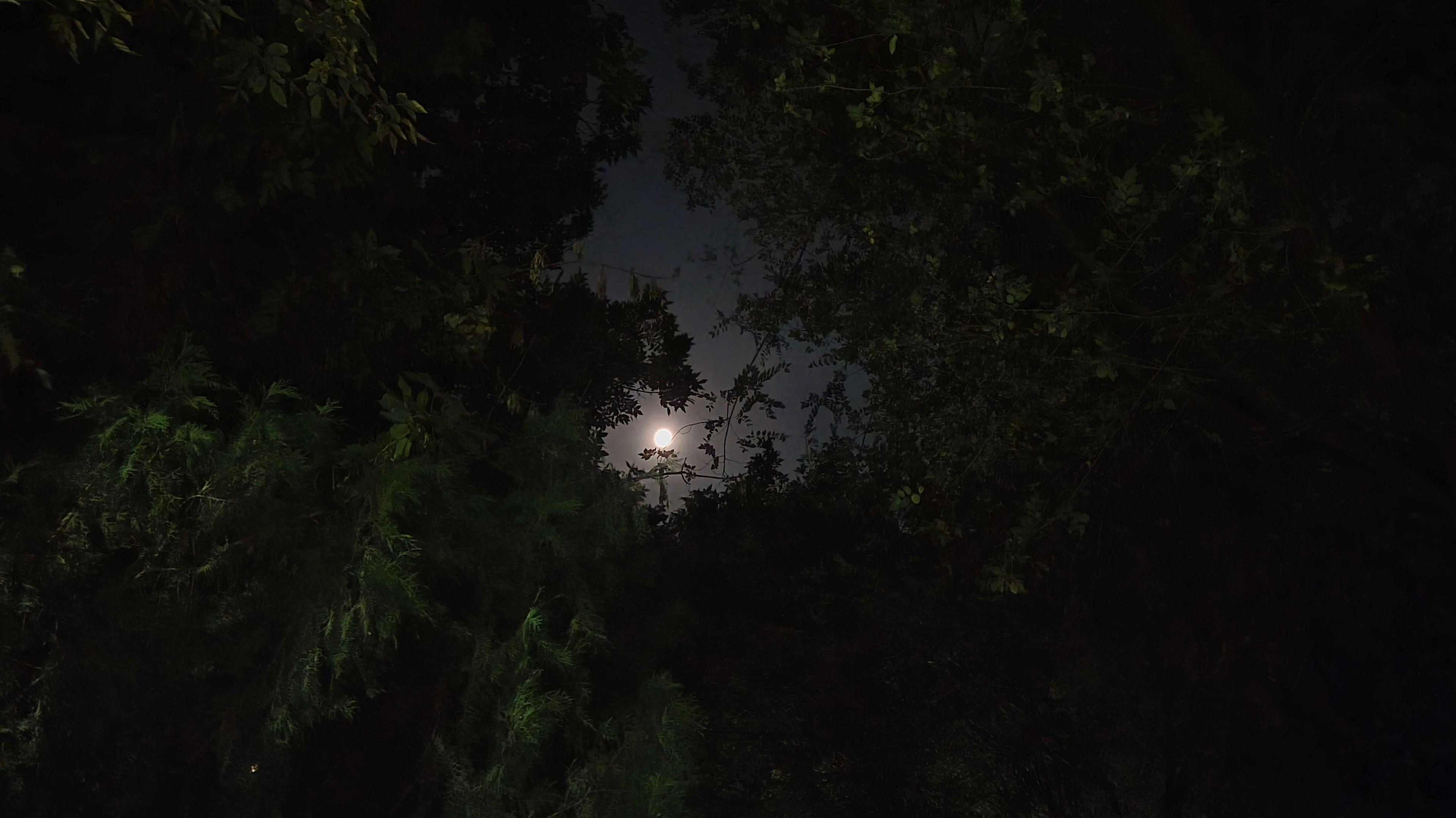 The Moon over Yerevan, Armenia — waxing gibbous, Lunar Day 12