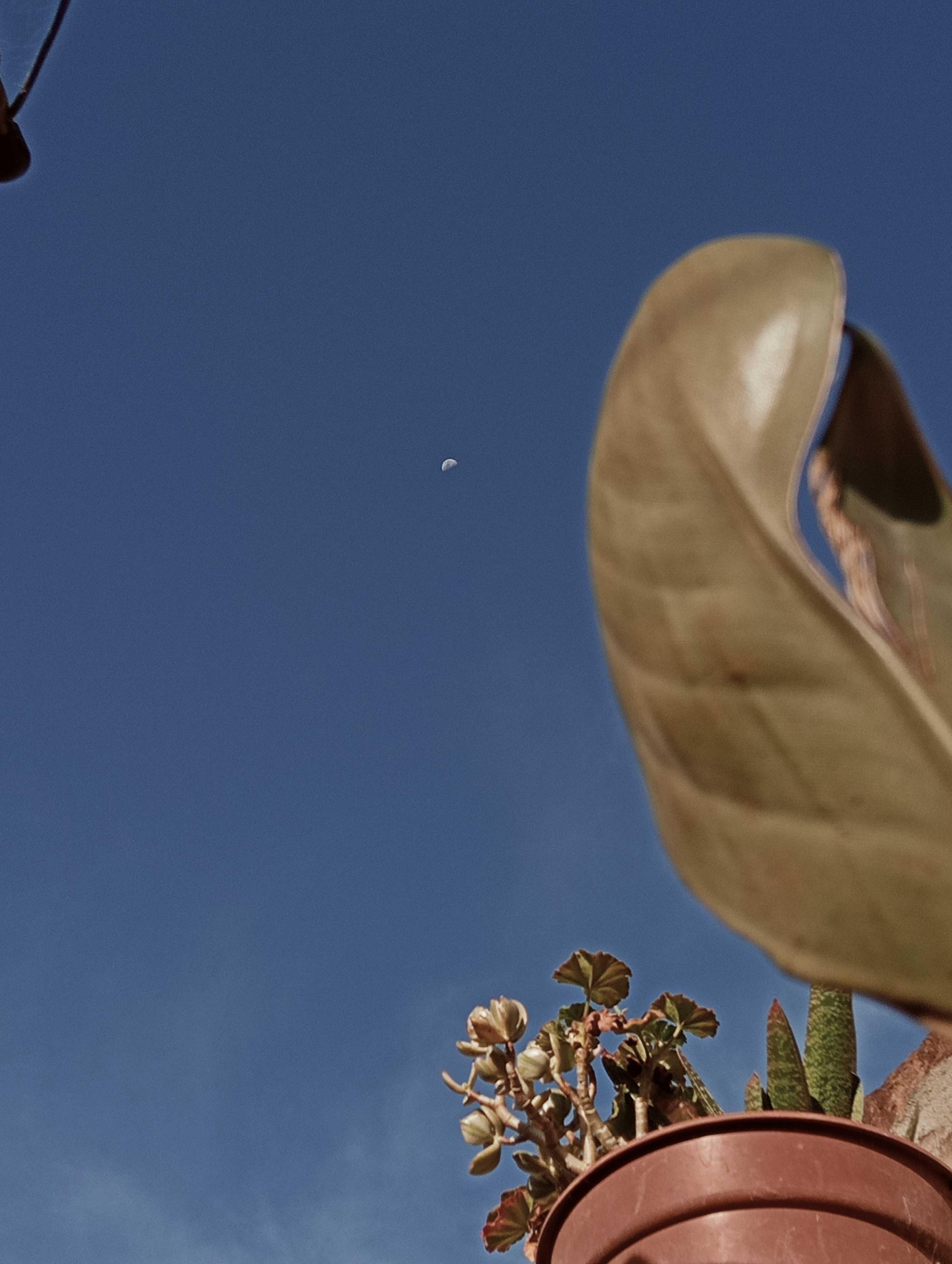 The Moon over Tristán Suárez, Argentina — first quarter, Lunar Day 10
