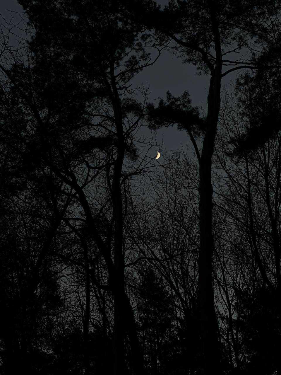 The Moon over Minsk, Belarus — first quarter, Lunar Day 8