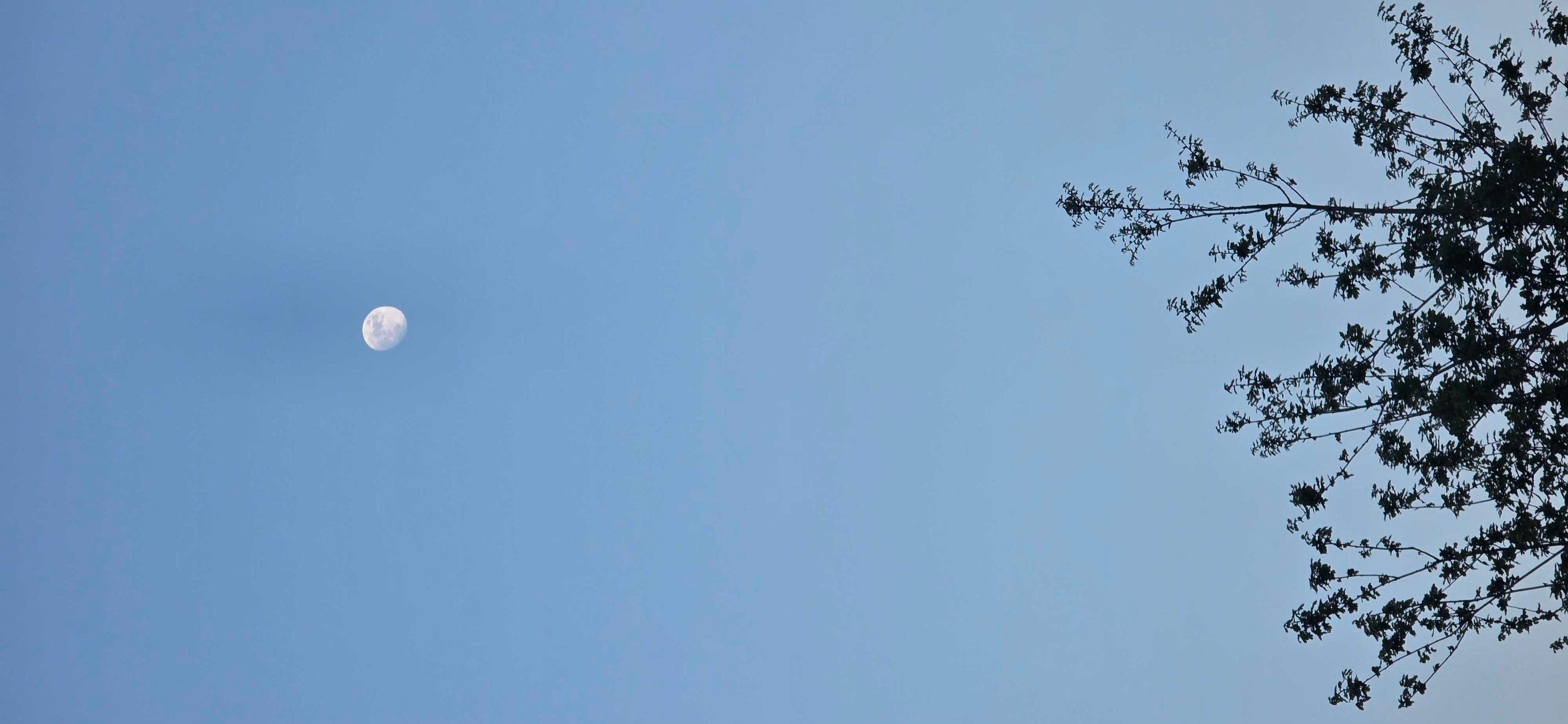 The Moon over United Kingdom — waxing gibbous, Lunar Day 12