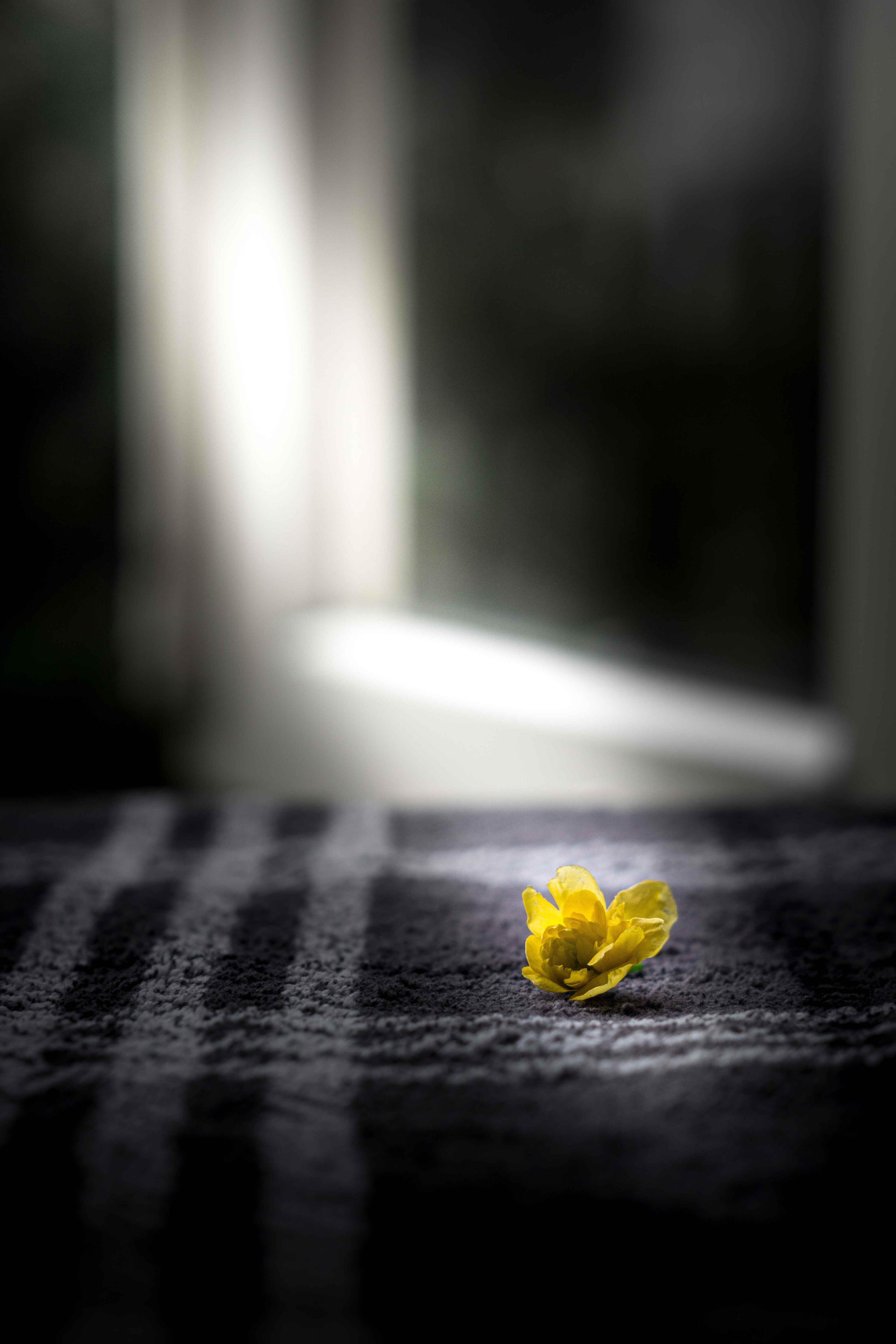 Forgiving someone who’s harmed you